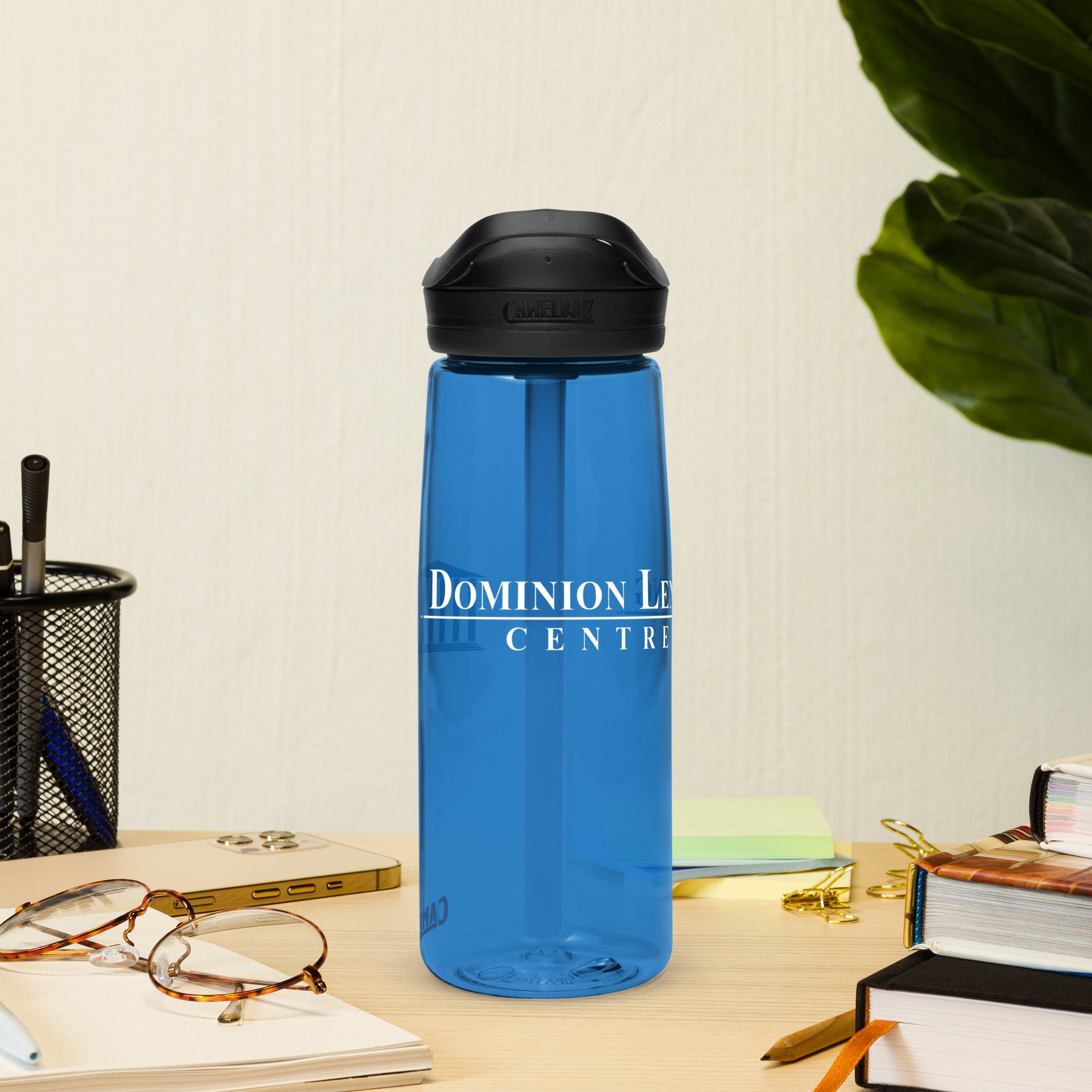 Dominion Lending Centres Sports Water Bottle